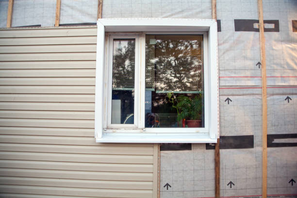 Best Insulated Siding Installation  in Ladera Ranch, CA