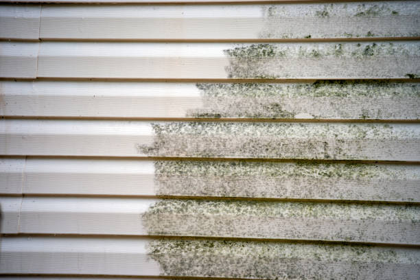 Best Siding for New Construction  in Ladera Ranch, CA