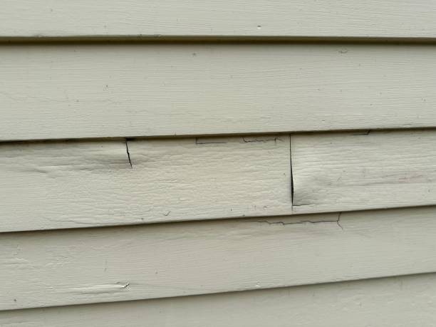 Affordable siding repair and maintenance services in Ladera Ranch, CA